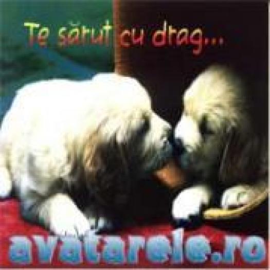 TRHJJMLVVICRUTWYDLJ