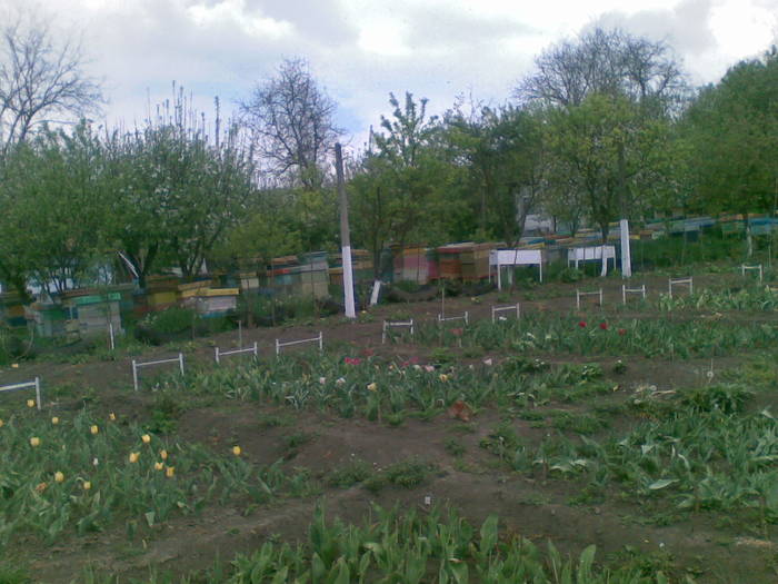 04052009(006) - Vaslui 2009