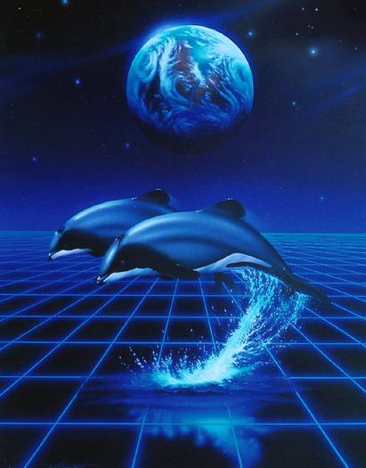 dolphins_copy