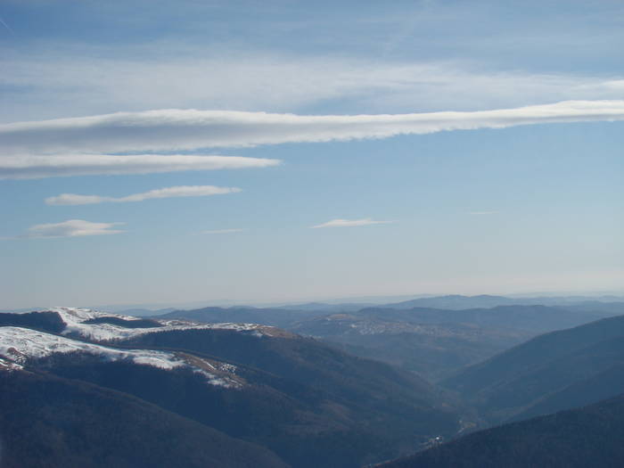 DSC01127 - Bucegi - Valea Izvorul Dorului-Padina