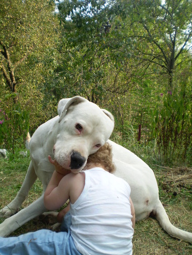 Picture-olympus 786 - dogo argentino