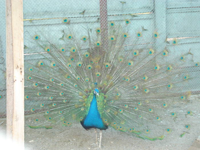 DSC01873