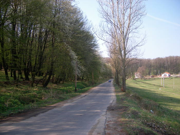  - Excursii 2009