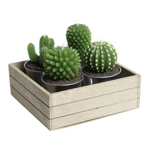 lumanarele cactusi - diferite candelute-lumanarele decorative