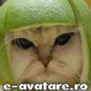 avatare_gratuite_5f6c9bcff69baa9b0a9aeb067ac87fc8