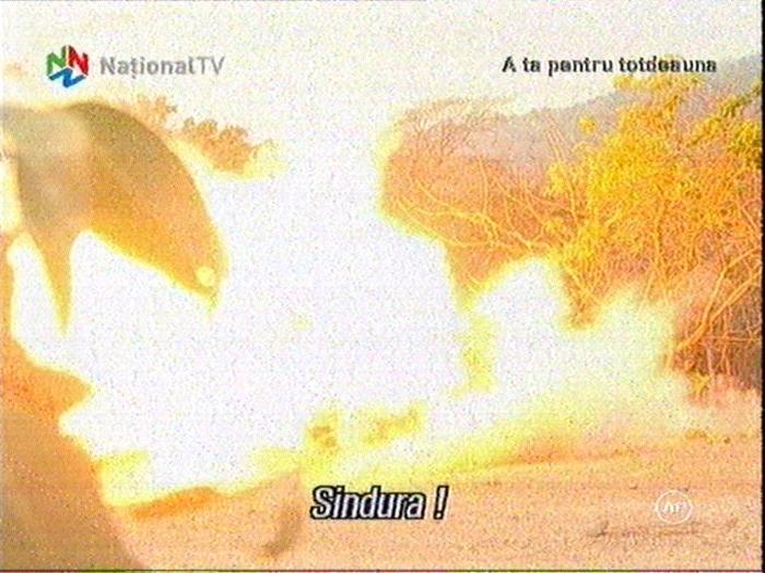 Image1117-0946(nationaltv)[10]