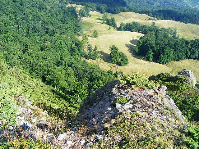 DSCF4489