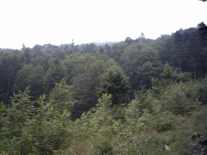 PICT0273