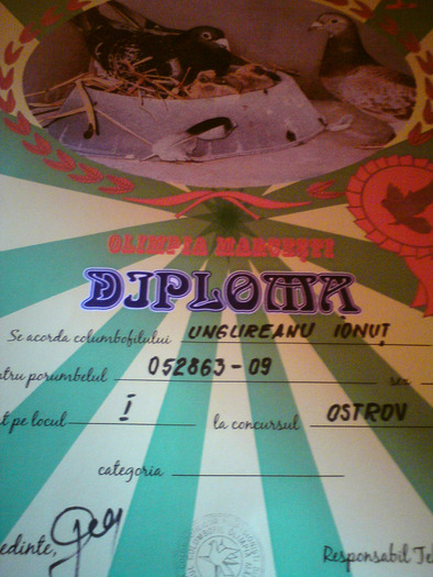DSC00018 - cupe si diplome