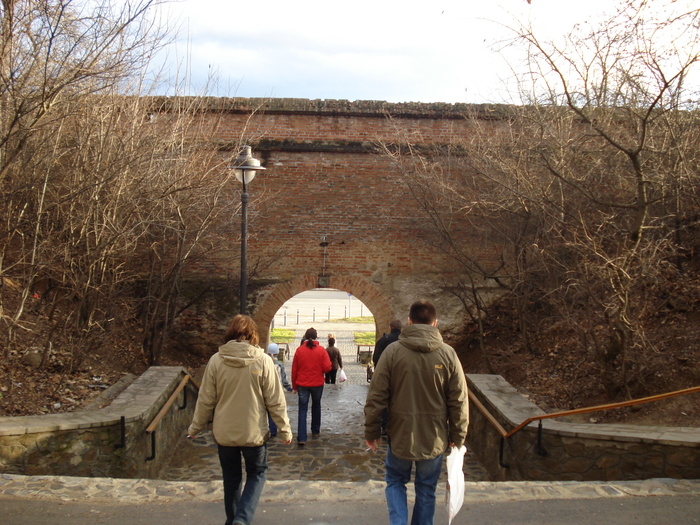 DSC06122 - 2010 REVELION SIBIU