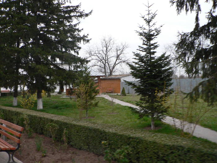 P1040301