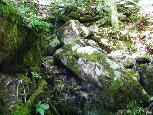 DSCF2421
