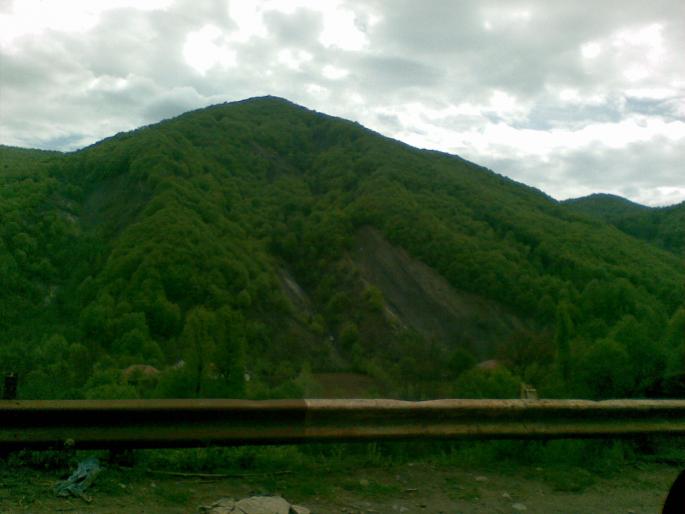 Copy of 24042008 - vanatoare padure