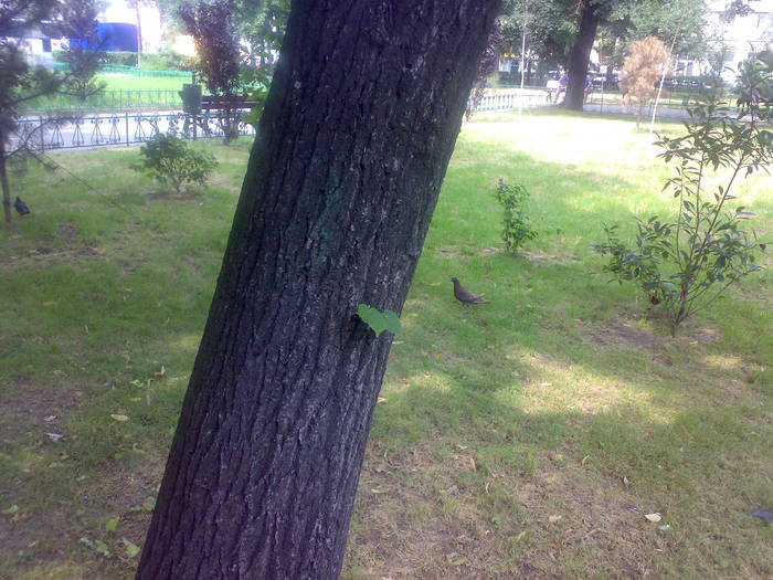 200720092326 - 18c Bucuresti