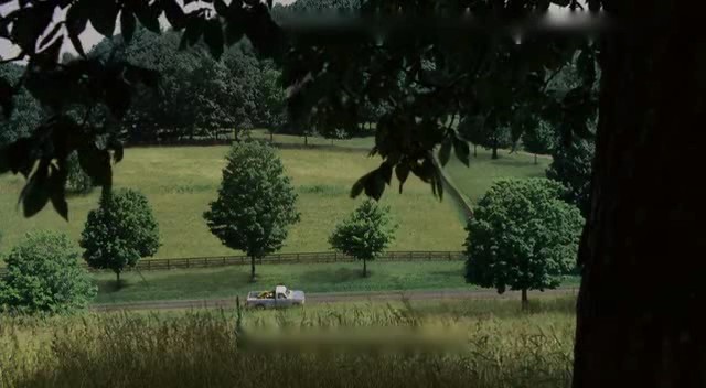 bscap0400 - Poze ciudate urate haioase etc