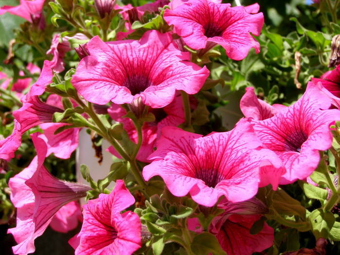 DGODLTBZNJTYAFJBKAU[1]