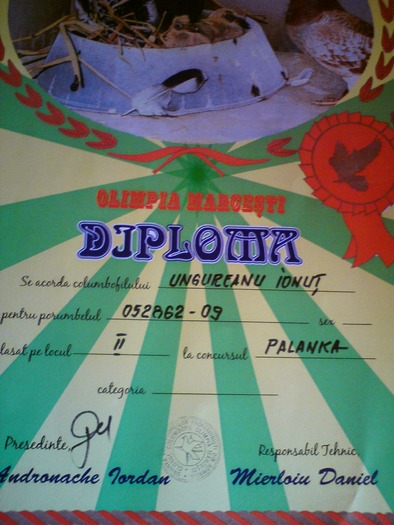 DSC00026 - cupe si diplome