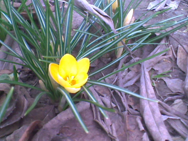 Imag056