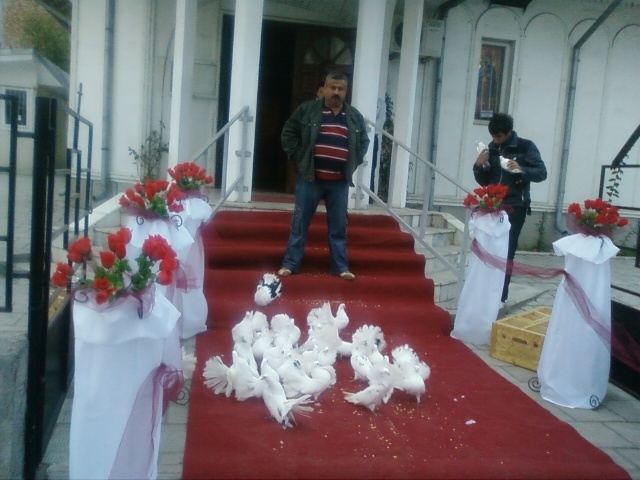 Foto0123 - porumbei pentru nunti