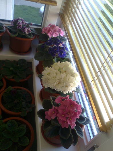 RAIUL DE PE BALCON PARTEA STANGA