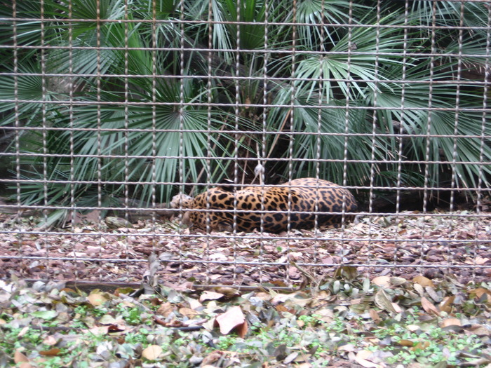 IMG_0443 - Gradina Zoologica din Barcelona