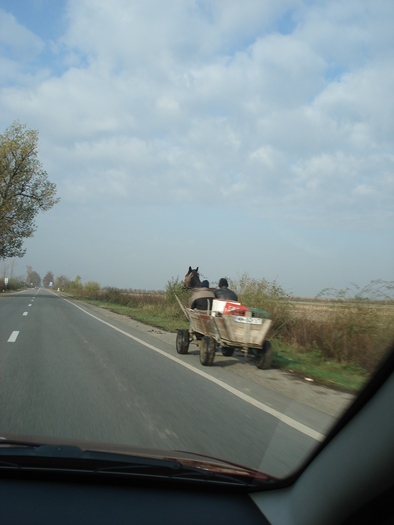 Picture 019 - toamna-traseu- baia mare- satu mare si retur