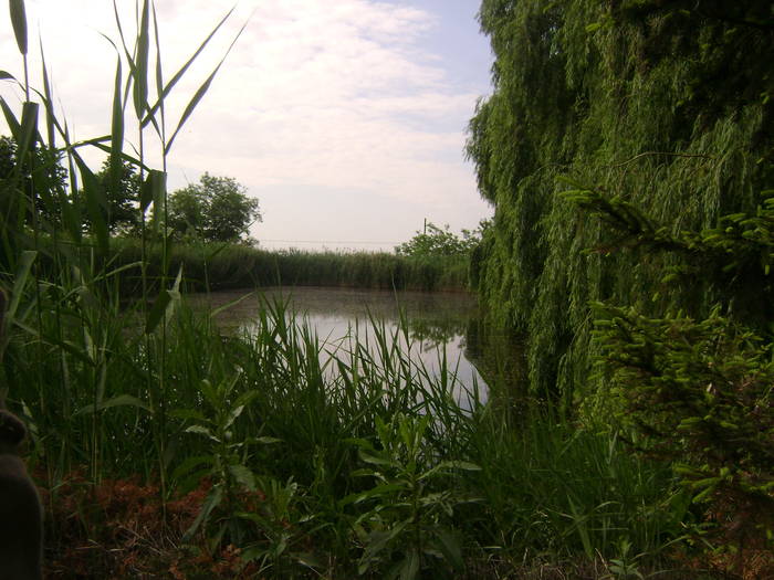 MANASTIREA VLADIMIRESTI-GALATI - EXCURSIE  in DELTA