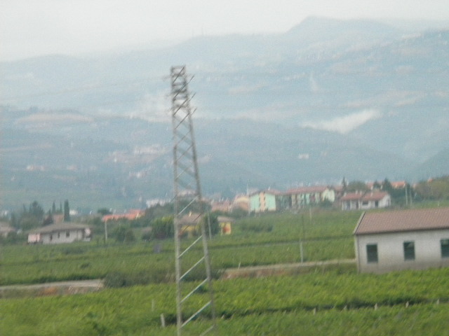 DSCN0501