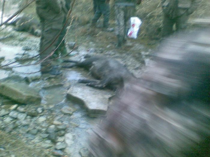 09122009(018) - vanatoare padure