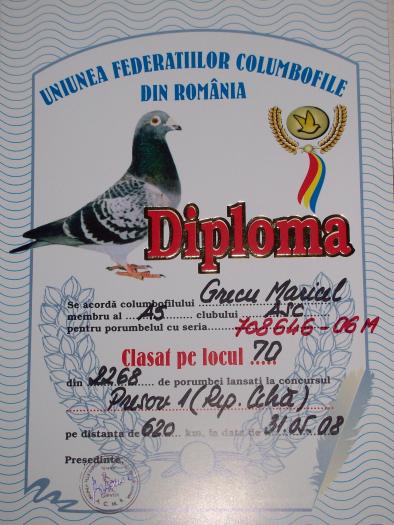 100_6124 - rezultate