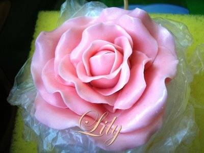 PB291245 - trandafiri