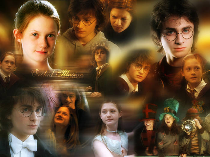 harry-and-ginny-harry-and-ginny-2961859-800-600 - harrry potter and his friends