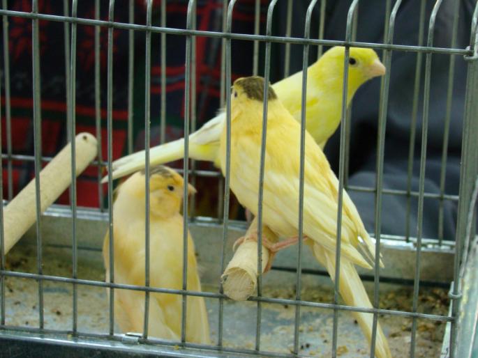 DSC00435