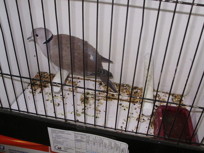 P8161931