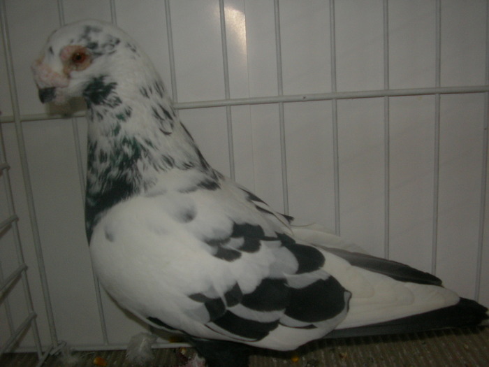 SANY0121