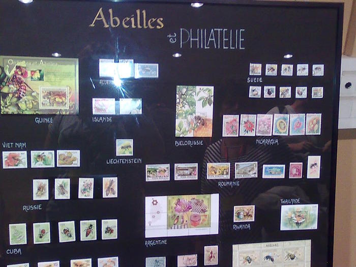 Imagine1145 - ApiMondia