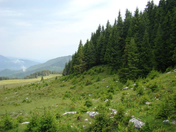 DSC03938 - Concediu 2009