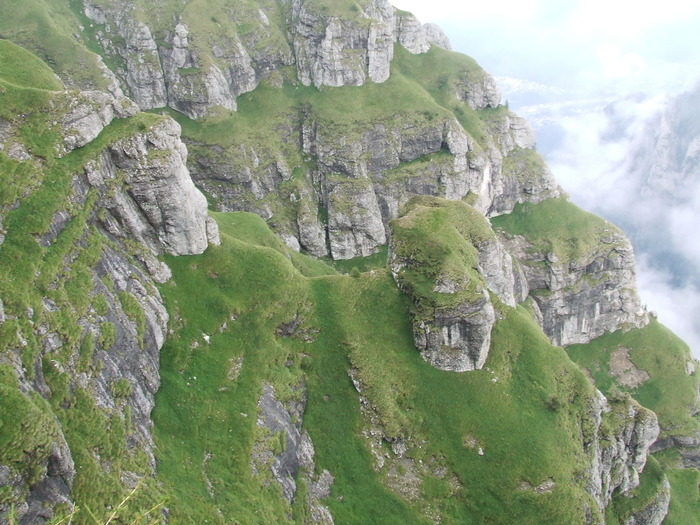 2009_08190563; Romania
