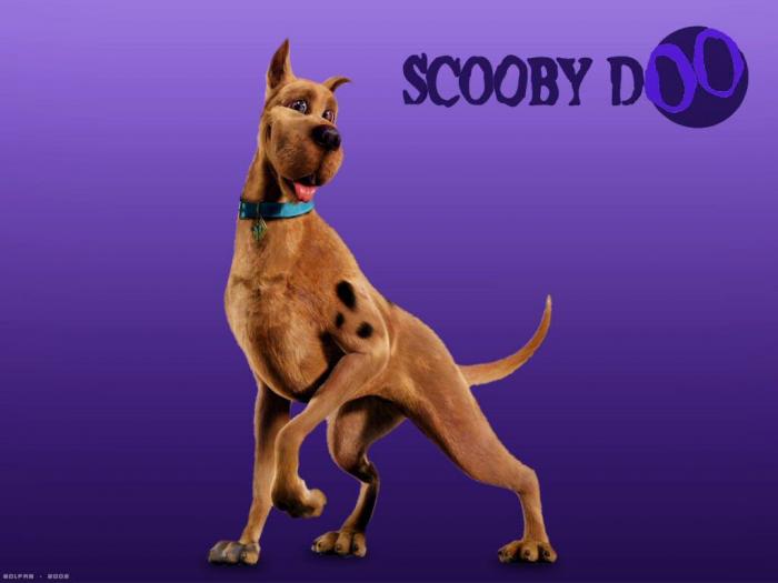 ScoobyDoo2-03 - Scoby-doo in realitate