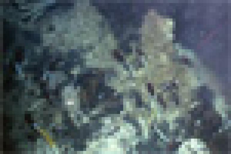 black-smokers-492573-mi[1]
