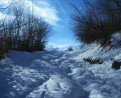 imagesCAT598LM - peisaje de iarna