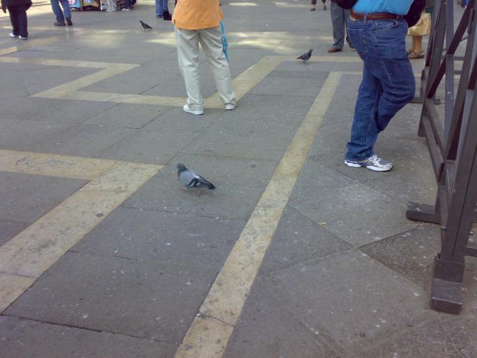 250920081012 - 18j Venetia Italia