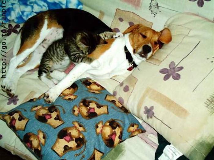 perechea ... ciudata 3