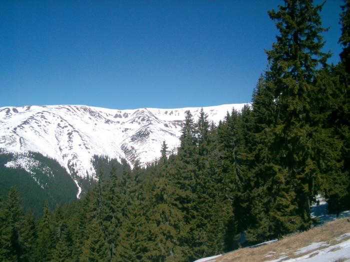 04120088 - Iezer-Papusa