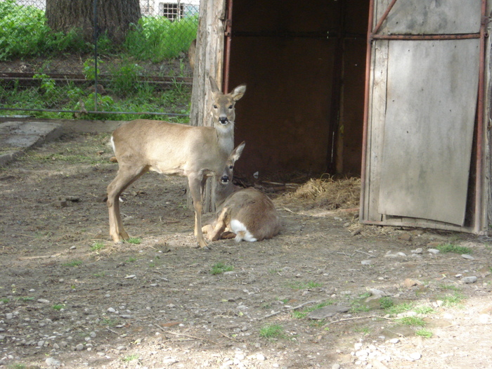 Picture 109