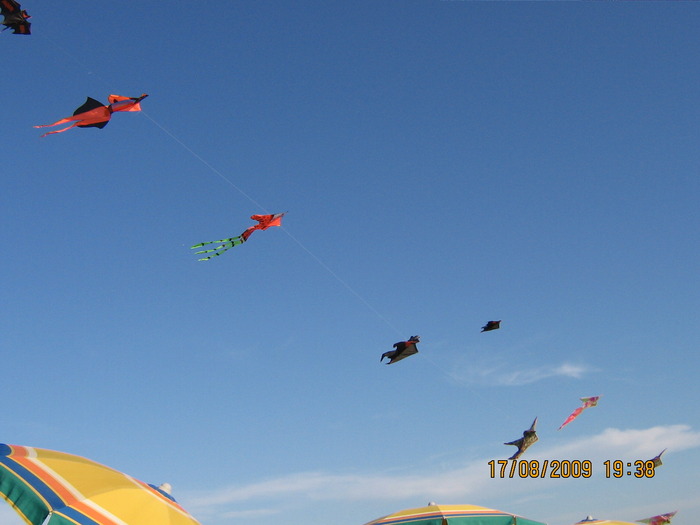 IMG_0851 - 2009 - bibione