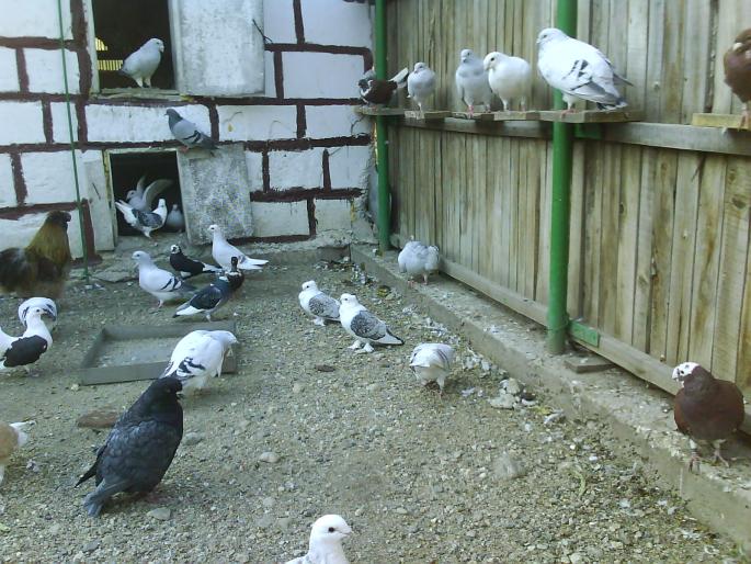DSC01304