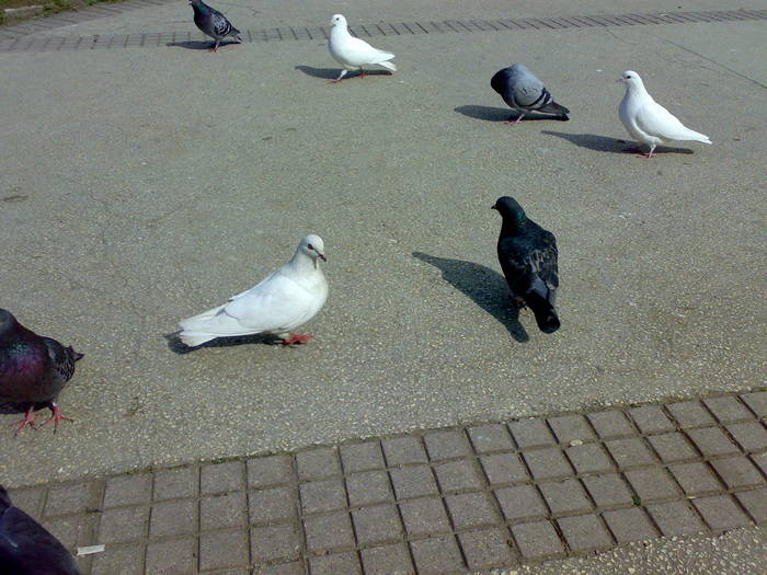220320091959
