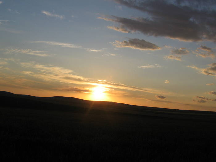 22 iunie 005 - natura