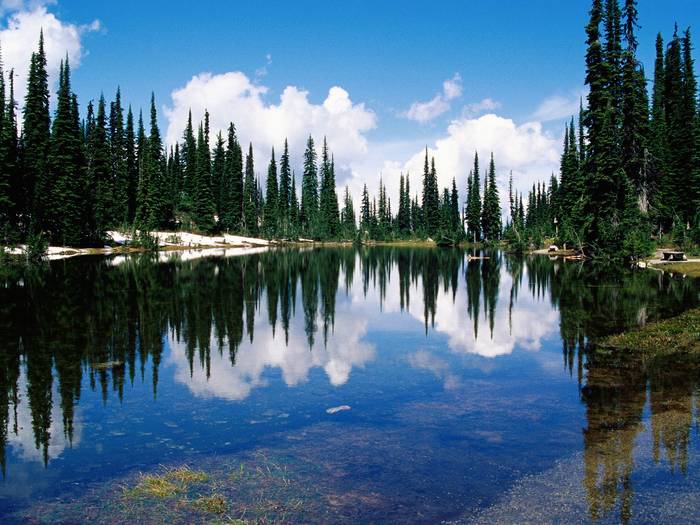 Balsam Lake, Mount Revelstoke National Park, British Columbia, Canada - Canada Wallpapers